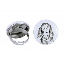 Ring with a dog - Gordon Setter