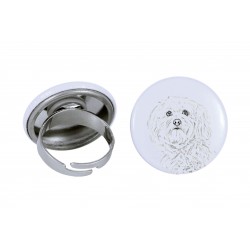 Ring with a dog - Havanese