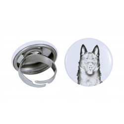 Ring with a dog - Schipperke