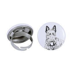 Ring with a dog - Scottish Terrier