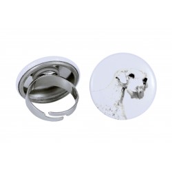 Ring with a dog - Sealyham terrier