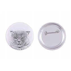 Pin, brooch with a cat - Scottish Fold