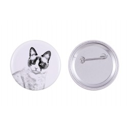 Pin, brooch with a cat - Snowshoe cat