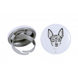 Ring with a dog - Toy Fox Terrier