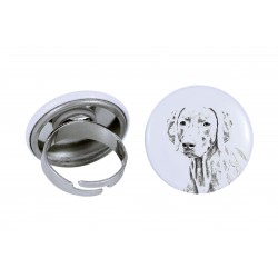 Ring with a dog - Weimaraner
