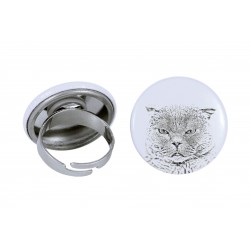 Ring with a cat - Scottish Fold
