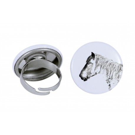 Ring with a horse