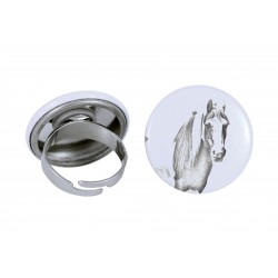 Ring with a horse - Fell pony