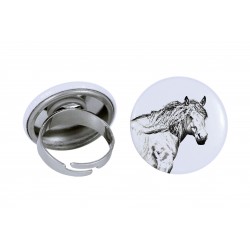 Ring with a horse - Basque Mountain Horse