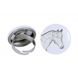 Ring with a horse - Bay