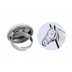 Ring with a horse - Danish Warmblood