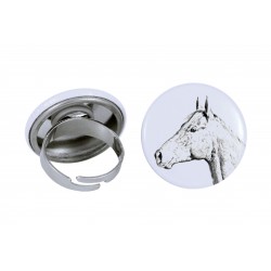 Ring with a horse - Holsteiner