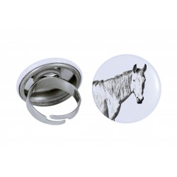 Ring with a horse - Namib Desert Horse