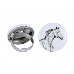 Ring mit einem Pferd - Zweibrücker