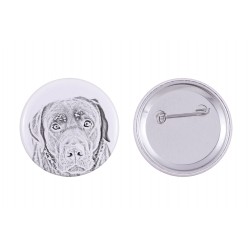 Pin, brooch with a dog - Labrador Retriever
