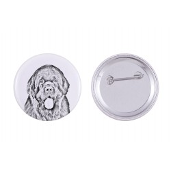 Pin, brooch with a dog - Newfoundland