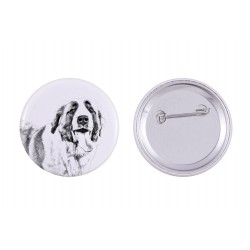 Pin, brooch with a dog - Saint Bernard