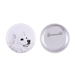 Pin, brooch with a dog - American eskimo dog