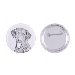 Pin, brooch with a dog - Curly Coated Retriever