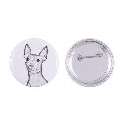 Pin, brooch with a dog - American Hairless Terrier