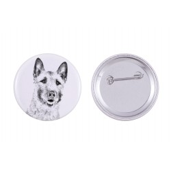 Pin, brooch with a dog - Laekenois