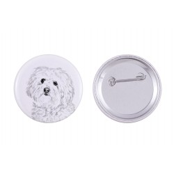 Pin, brooch with a dog - Spanish Water Dog