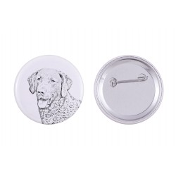 Pin, brooch with a dog - Chesapeake Bay retriever
