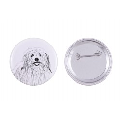 Pin, brooch with a dog - Coton de Tuléar