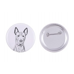 Pin, brooch with a dog - Thai ridgeback