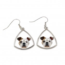 Earrings with a English Bulldog dog. A new collection with the geometric dog