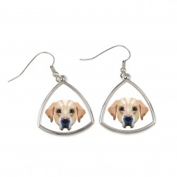 Earrings with a Labrador Retriever dog. A new collection with the geometric dog