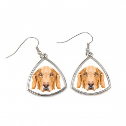 Earrings with a Golden Retriever dog. A new collection with the geometric dog
