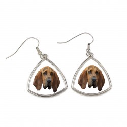 Earrings with a Bloodhound dog. A new collection with the geometric dog