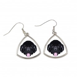 Earrings with a Newfoundland dog. A new collection with the geometric dog