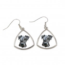 Earrings with a Cesky Terrier dog. A new collection with the geometric dog