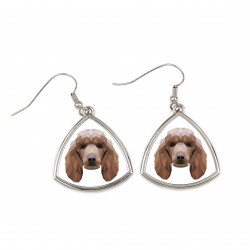 Earrings with a Poodle dog. A new collection with the geometric dog