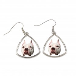Earrings with a American Pit Bull Terrier dog. A new collection with the geometric dog