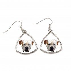 Earrings with a American Bulldog dog. A new collection with the geometric dog