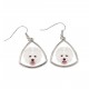 Earrings with a Bichon Frise dog. A new collection with the geometric dog