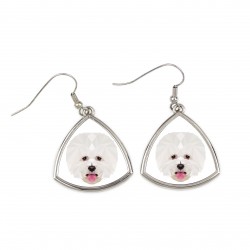 Earrings with a Bichon Frise dog. A new collection with the geometric dog