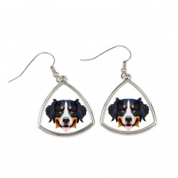Earrings with a Bernese Mountain Dog dog. A new collection with the geometric dog