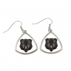 Earrings with a Flandres Cattle Dog dog. A new collection with the geometric dog