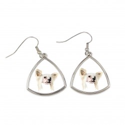 Earrings with a Chinese Crested Dog dog. A new collection with the geometric dog