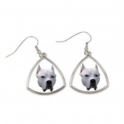 Earrings with a Argentine Dogo dog. A new collection with the geometric dog