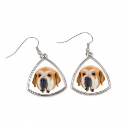 Earrings with a Spanish Mastiff dog. A new collection with the geometric dog