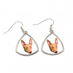 Earrings with a Pharaoh Hound dog. A new collection with the geometric dog