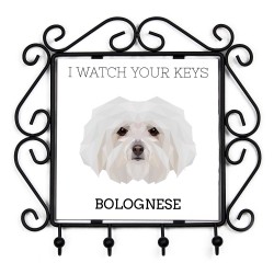 A key rack with Bolognese, I watch your keys. A new collection with the geometric dog