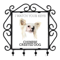 Un portachiavi con Cane Nudo Cinese, guardo le tue chiavi. Una nuova collezione con il cane geometrico