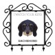 A key rack with Dachshund wirehaired, I watch your keys. A new collection with the geometric dog