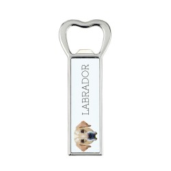 A beer bottle opener with a Labrador Retriever dog. A new collection with the geometric dog